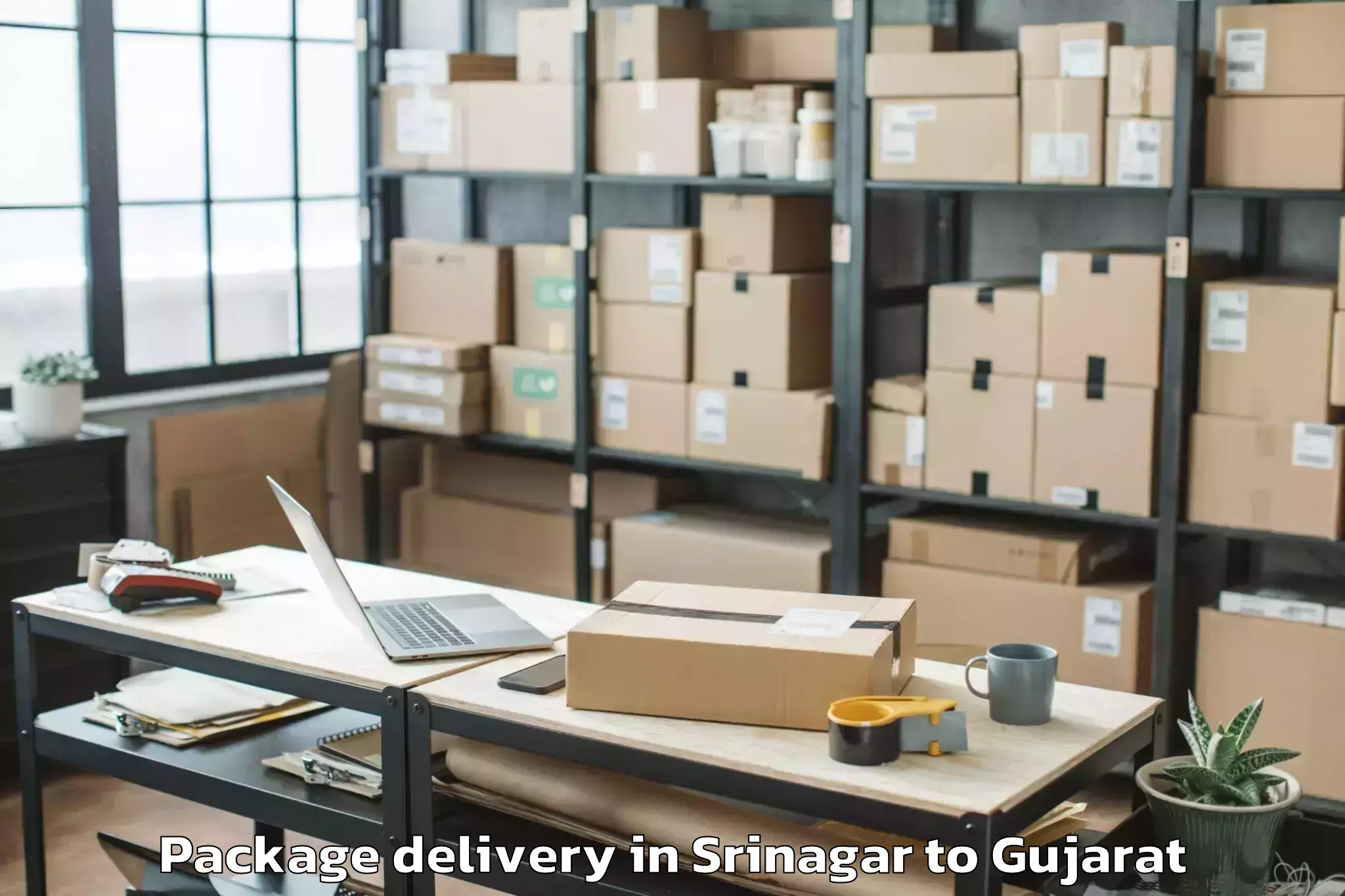 Trusted Srinagar to Veer Narmad South Gujarat Univ Package Delivery